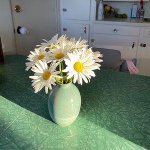 Meet your Posher, Alison